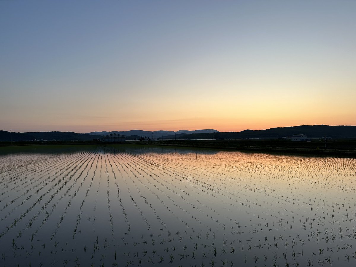 Sota1145's tweet photo. やっぱこの景色だよね。

北海道雨竜町の田園風景。

水田に映るライスコンビナート。

#北海道 #雨竜町 #田園風景 https://t.co/VOOmKu6fXQ