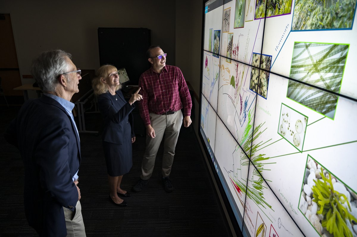 Work with us! 🧬 We're hiring: Biological Scientist Apply by May 29, 2024 Full-time position to assist Doug and Pam @soltislab with research projects and data management. 🔬 Position info: floridamuseum.ufl.edu/nhdept/biologi… 🧪 Apply via @UF: explore.jobs.ufl.edu/en-us/job/5310…