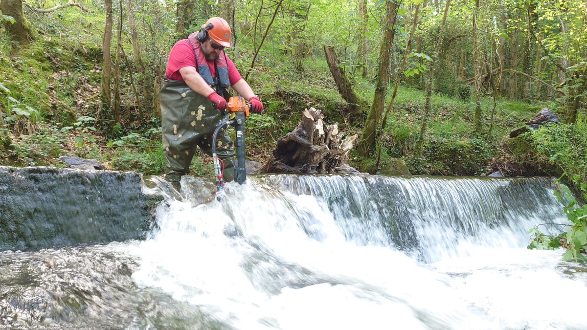 Welsh river trusts have been working hard to unblock their catchments and ease migration for multiple fish species both upstream and just as importantly, downstream. But there is still much to do. Please support them and help deliver this vital work: bit.ly/3KalV45 2/2