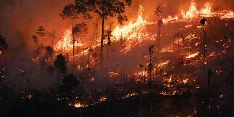 EXTRA: AMAZÔNIA QUEIMA COMO NUNCA SOB SILÊNCIO ENSURDECEDOR

Entre 1º de janeiro e 29 de abril, foram contabilizadas 17.064 queimadas, o que representa um crescimento de 81% em relação ao mesmo período de 2023 e configura o pior cenário desde o início da série histórica, em 1999.