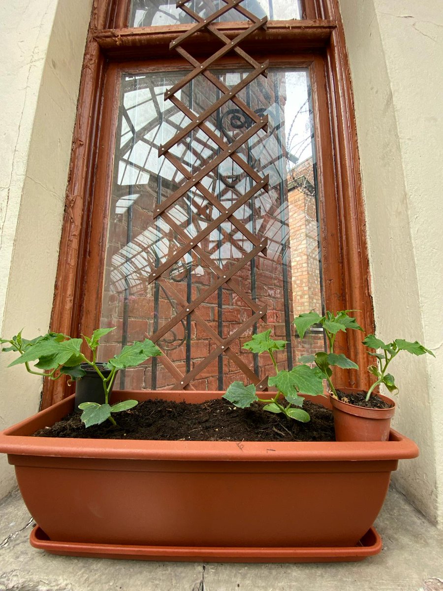 Hepworth’s Arcade tweet media