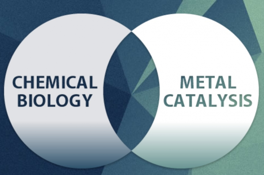 Beyond bioorthogonal chemistry: exploring new methods of activation to trigger biocompatible transformations (Supervisor: Prof. José Luis Mascareñas @qojoselm @MetBioCat)