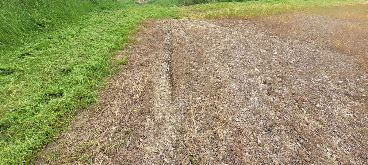 dbird280's tweet photo. @UKPowerNetworks is it standard practice for your contractors to access land without permission, leave debris to block ditches and damage fields in the process? This seems to happen all to often around here. https://t.co/p3bCZQIrKk