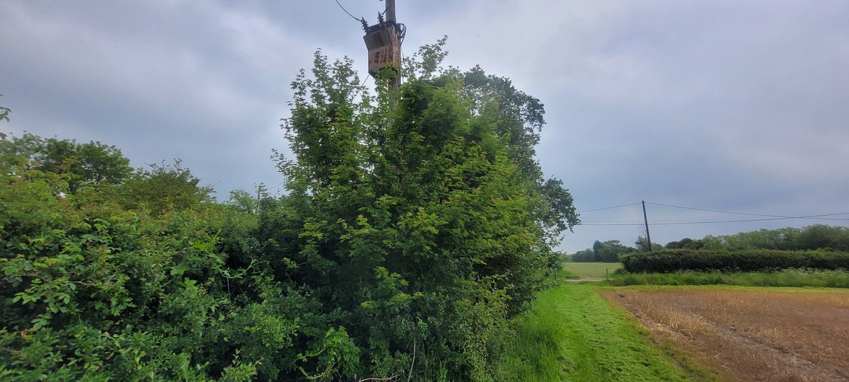 dbird280's tweet photo. @UKPowerNetworks is it standard practice for your contractors to access land without permission, leave debris to block ditches and damage fields in the process? This seems to happen all to often around here. https://t.co/p3bCZQIrKk