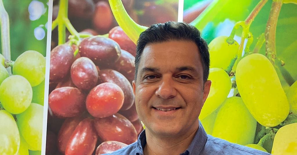 Fruitnet_SEE's tweet photo. Greek grapes help extend season for Europe https://t.co/G7xZqxPRNX https://t.co/uuQ5LnYurE