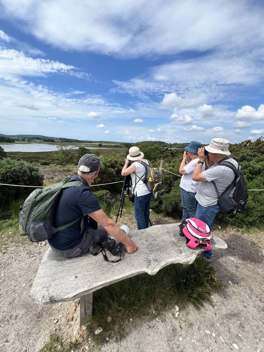 dougaldog's tweet photo. midday low tide @ Coombe Viewpoint @RSPBDorset stonechat showing well. 🤳of visitors watching preening spoonbill @harbourbirds @LizWoodford1 @Peter_Purbeck https://t.co/Ti3RAEgU3L