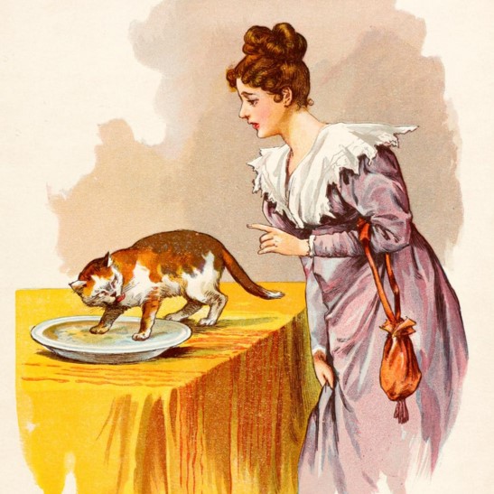 This nursery rhyme was clearly written by a cat owner:  

'Pussy-cat ate the dumplings, the dumplings, 
Pussy-cat ate the dumplings. 
Mamma stood by, and cried, 'Oh, fie! 
Why did you eat the dumplings?'' 

#FairyTaleTuesday 

🎨: Gems from Mother Goose (1899)
