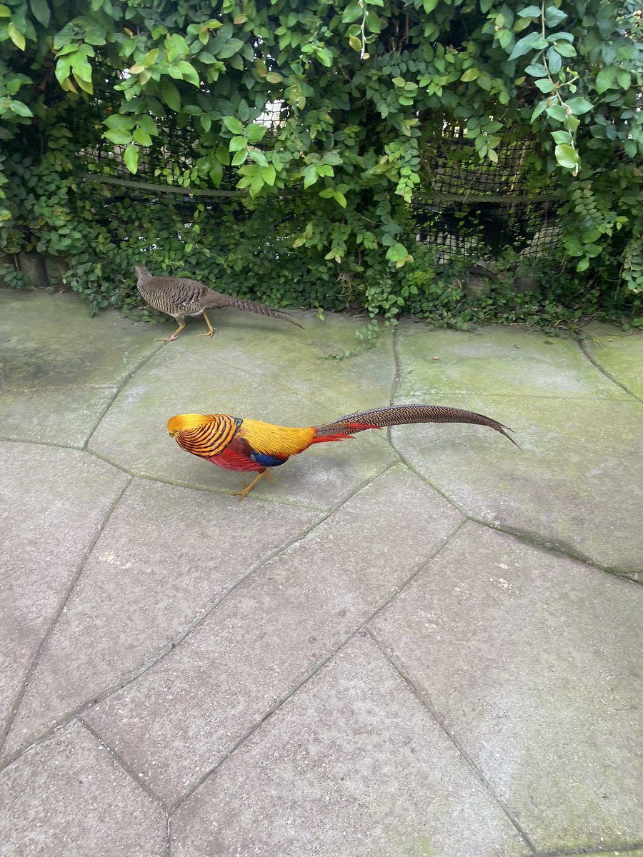 We had lots of fun exploring <a href="/BugtopiaZoo/">Bugtopia the Zoo</a> <a href="/HumberEdTrust/">Humber Education Trust</a>