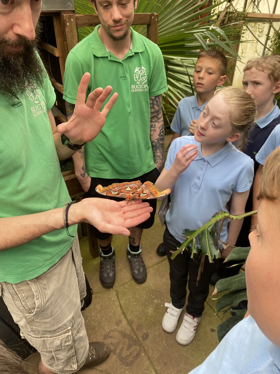 misskhankwp's tweet photo. We had lots of fun exploring @BugtopiaZoo @HumberEdTrust https://t.co/h52I2Tz7Sb