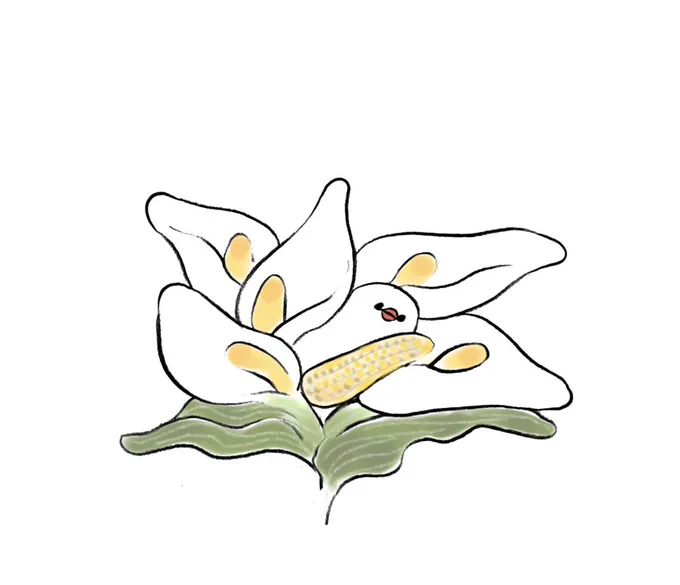 カラーの花束にヤングコーン持参で混ざるぶんちょ 