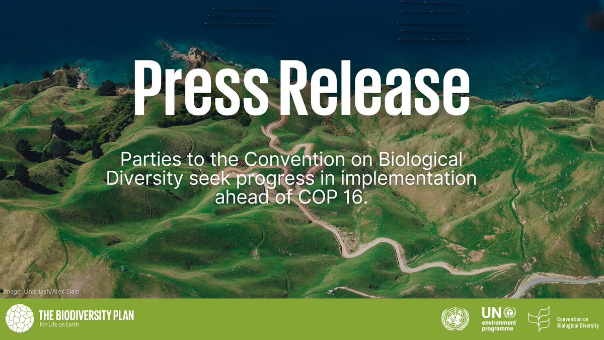 📰NEW PRESS RELEASE📰 🌐Parties to the Convention on Biological Diversity seek progress in implementation ahead of #COP16Colombia 🇨🇴 🔗Read more: cbd.int/sites/default/…