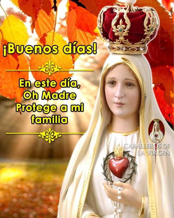 RuizHurtadoRE's tweet photo. ¡Buenos Días!
Siempre #Escuchemos a María Santísima... Ella siempre tendrá la solución a nuestros problemas https://t.co/vpvIgyRcPg
