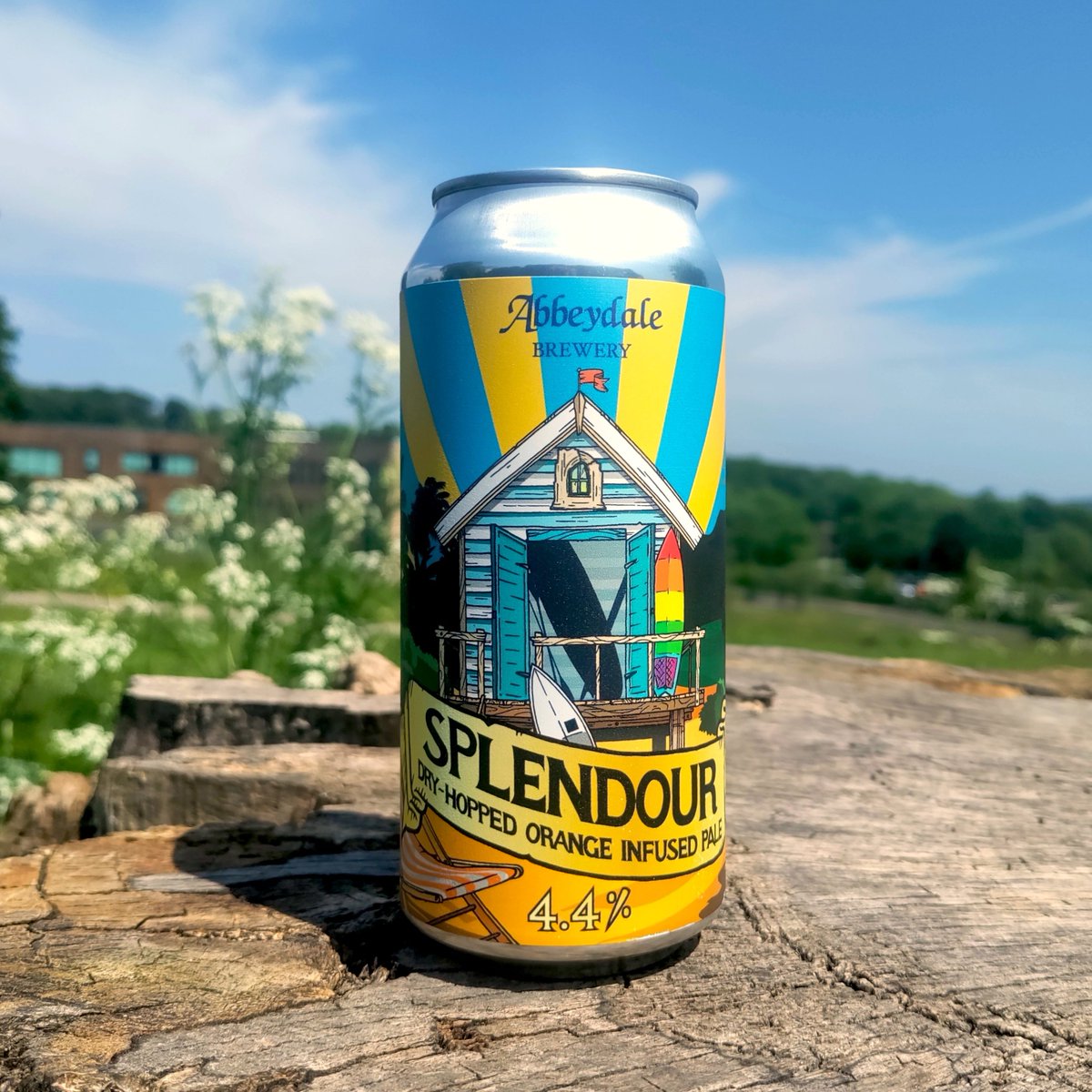 There's another Bank Holiday weekend coming up! And while we can't guarantee the weather, we can promise tasty beer! Get your order in by midday Thursday for delivery in time to fill the fridge: abbeydalebrewery.co.uk/shop