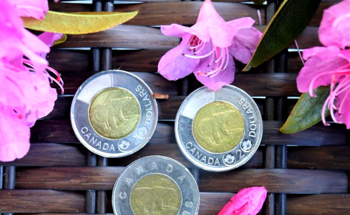 Bay Treasure Chest tweet media