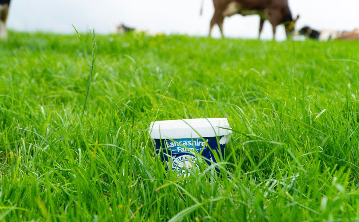 Guess who’s playing hide and seek in the fields? 🐄🌾 Which Lancashire Farm yogurt flavour is it? Can you spot it? #HideAndSeek #FreeRangeFun #LancashireFarm