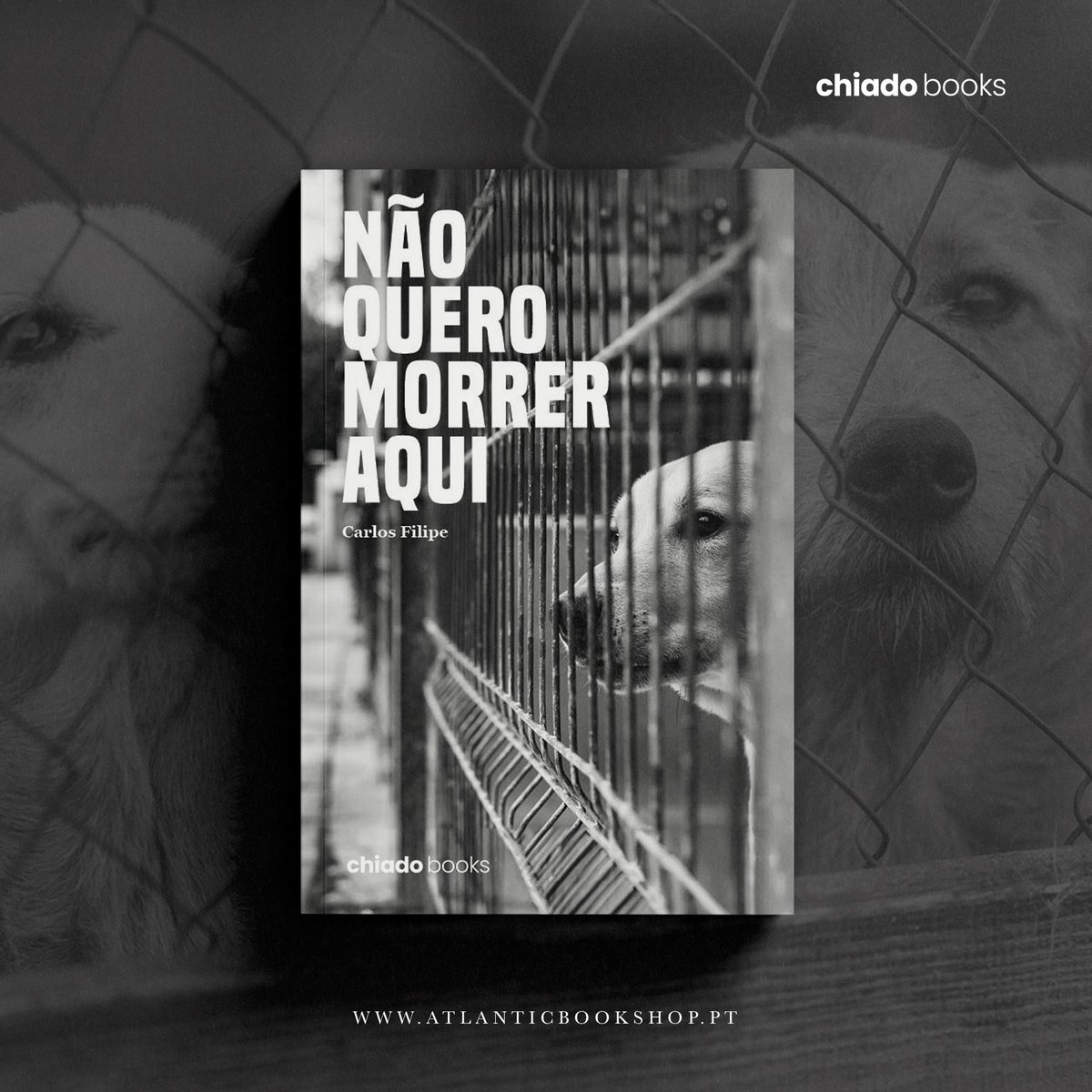 AtlanticBooksPT's tweet photo. Novidade | “Não Quero Morrer Aqui” de Carlos Filipe

Uma obra que não deixará ninguém indiferente. 💔

Já disponível em todo o país e em:
https://t.co/OJsWYzqLCT

Boas leituras!

#AtlanticBooks #Novidade #JaDisponivel #JaaVenda #ChiadoBooks https://t.co/fCNG7Hh65J
