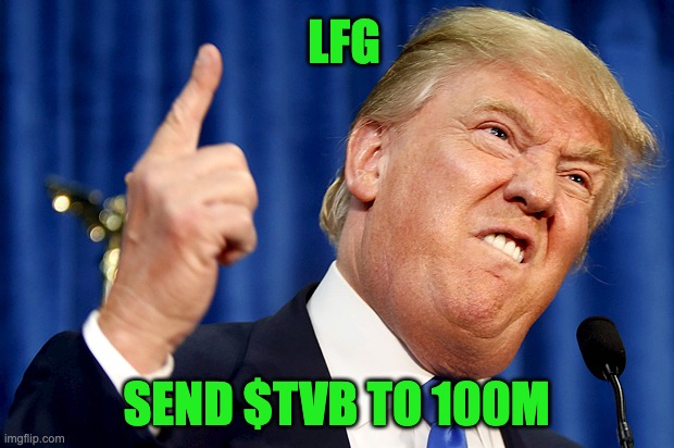 RAYDIUM HIT!
WE MADE PUMP GREAT AGAIN!
12 HOURS OF HARD WORK AND 180M TOKENS BURNT!
SEND $TVB TO 100 MILLION!