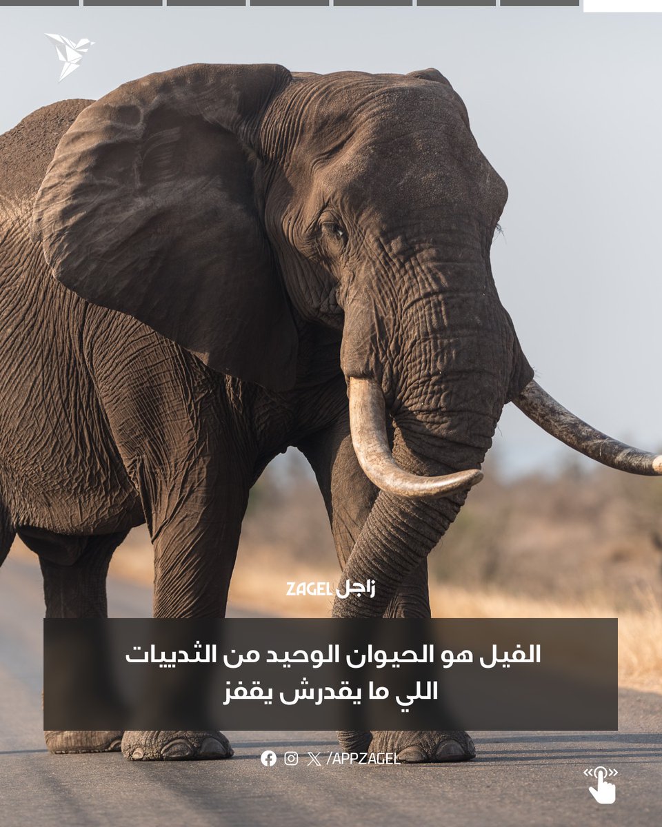 AppZagel's tweet photo. https://t.co/QaQGIAzsgT