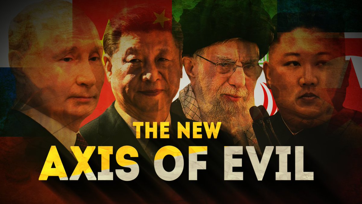 THE NEW AXIS OF EVIL 🇷🇺🇨🇳🇮🇷🇰🇵
Do you agree?