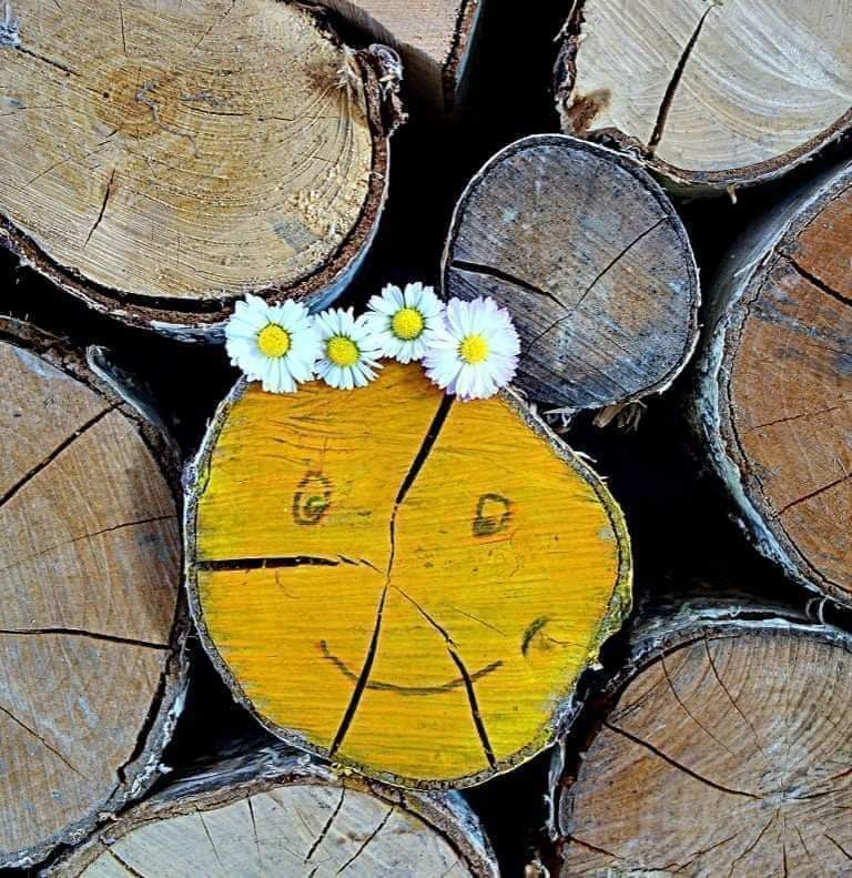 🌞     

Tem de aprender a viver com leveza.
A não te demorar tanto na tristeza.
A  não te permitir ser aprisionado pela dor.
A não te tornar refém do rancor.
A deixar partir quem nunca fez questão de ficar.
A não espalhar os teus sonhos com quem deixou de sonhar. E será feliz!