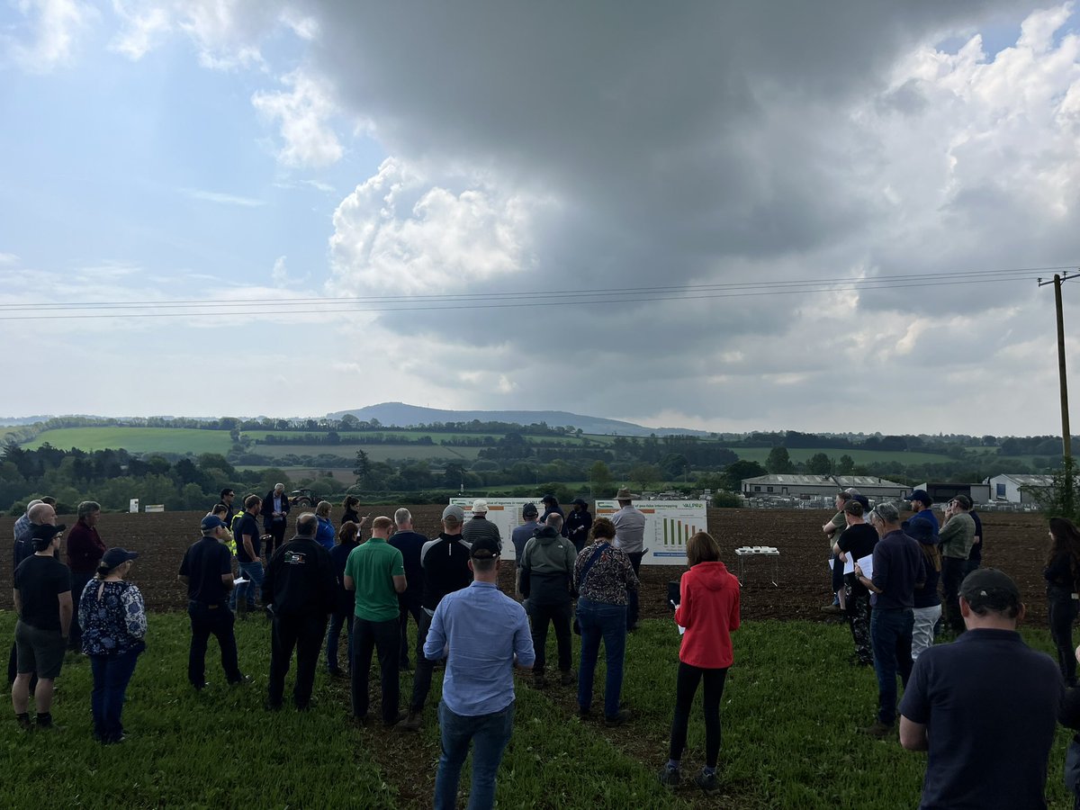 Lots of information here at the @TeagascSignpost farm walk here on the organic farm of Gavin Tully in Wexford. Intercropping protein crops, soil fertility, water quality, financial performance, market opportunities amongst the areas discussed. And we avoided the thunder and ⚡️ !!