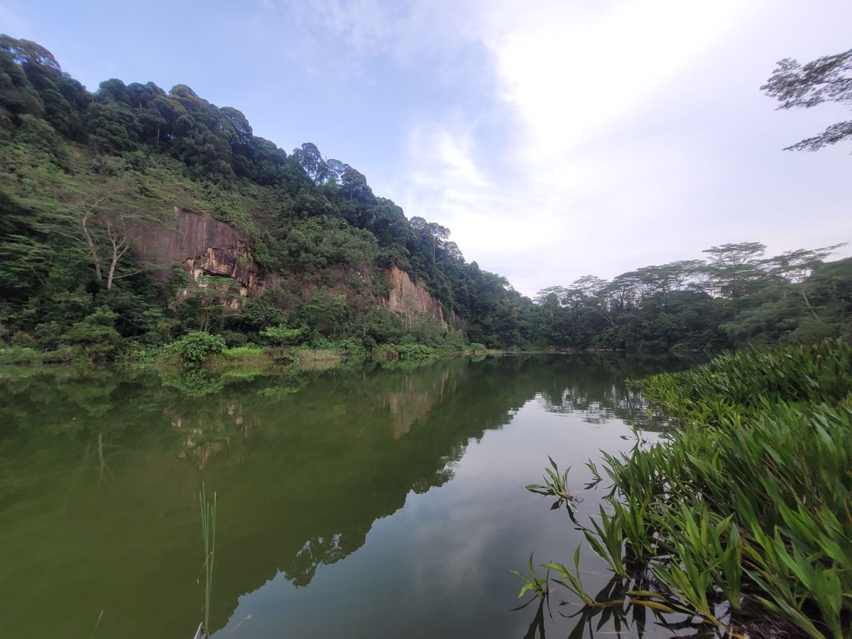 Gyrowoof's tweet photo. 10km trail run along the rail corridor and hill work at the disused Singapore Quarry area! #WuffRun https://t.co/kqGMNdFOds