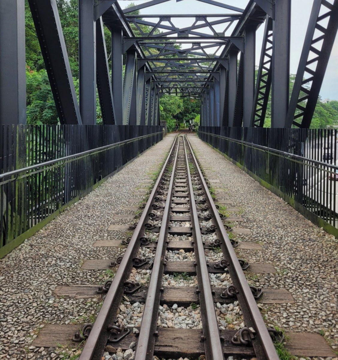 Gyrowoof's tweet photo. 10km trail run along the rail corridor and hill work at the disused Singapore Quarry area! #WuffRun https://t.co/kqGMNdFOds