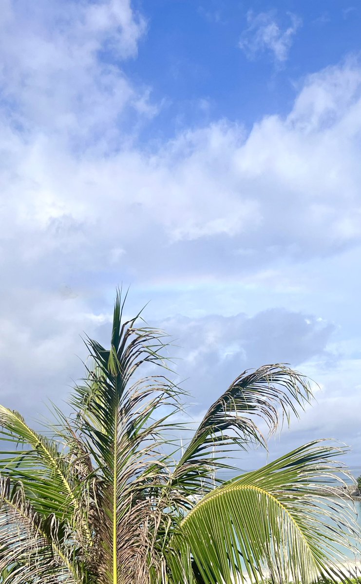 みんなー今日も一日お疲れ様なっしー♪ ヾ(。゜▽゜)ノ見上げたー♪かーなたにー梨空〜レインボー♪ヒャッハー♪ この前沖縄行った時に見た奴なっしー♪ 虹見るとワクワクするなっしなー♪ 明日もみんな健康になれる梨汁ブシャー:＊ もやレインボー