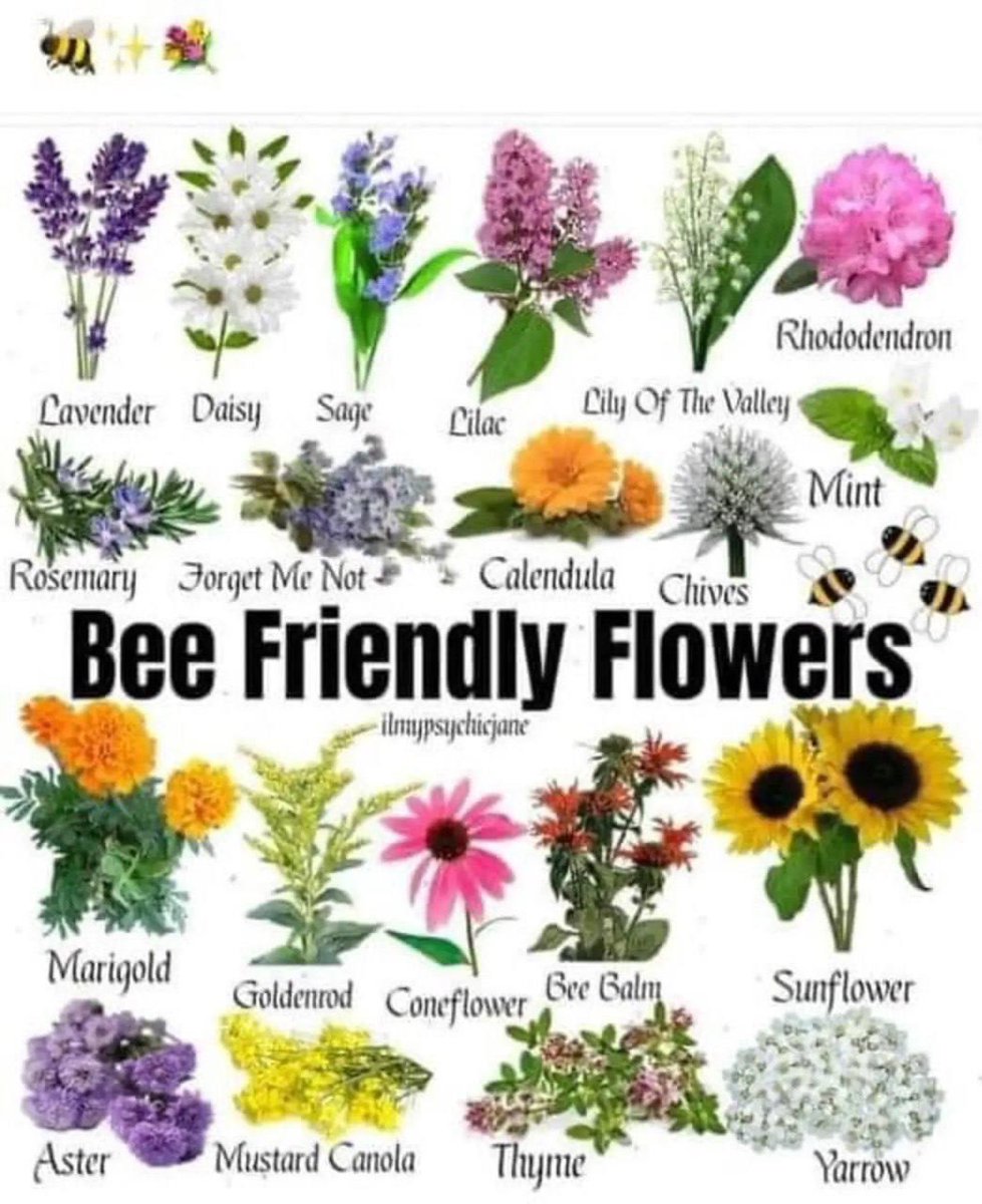 #BlueEarth #ResistanceEarth Do you have a bee friendly garden? Bees are essential to life, without them, we will not survive. How many of these bee friendly flowers do you have? I currently have 12 from this group. Can you think of more? I would add azaleas, the bees were