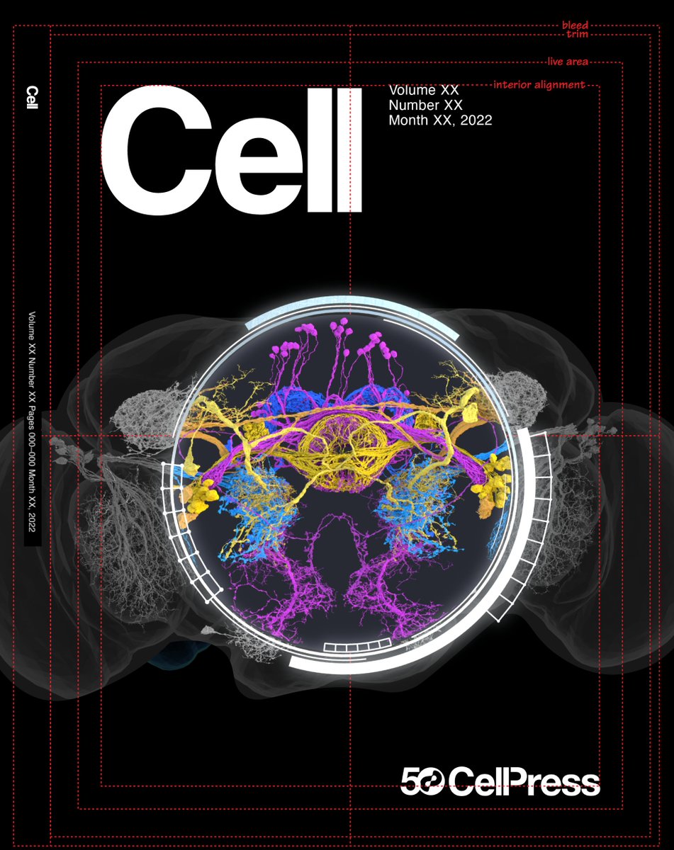 Amy Robinson Sterling tweet media