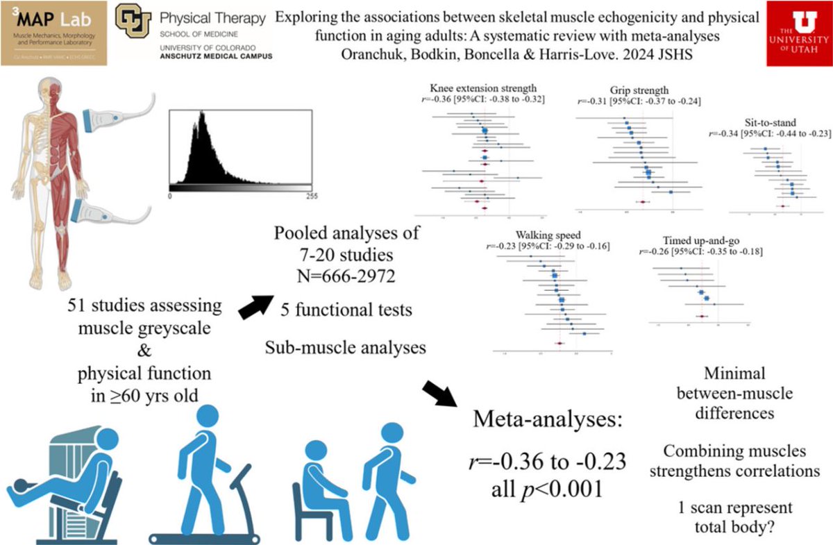 #Newpub in @JSHS_MedHealth by @DustinOranchuk, @Stephan_Bodkin, @katie_boncella, @MHarrisLove1 & team on Exploring the associations between skeletal muscle echogenicity & physical function in aging adults: A systematic review w/ meta-analyses. pubmed.ncbi.nlm.nih.gov/38754733/