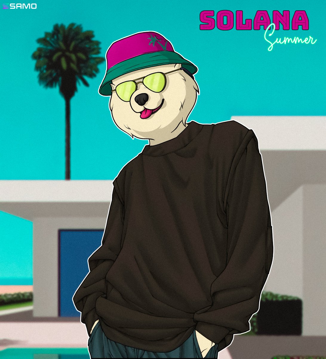 samoyedcoin's tweet image. #Solana Summer is coming.

Are you ready?