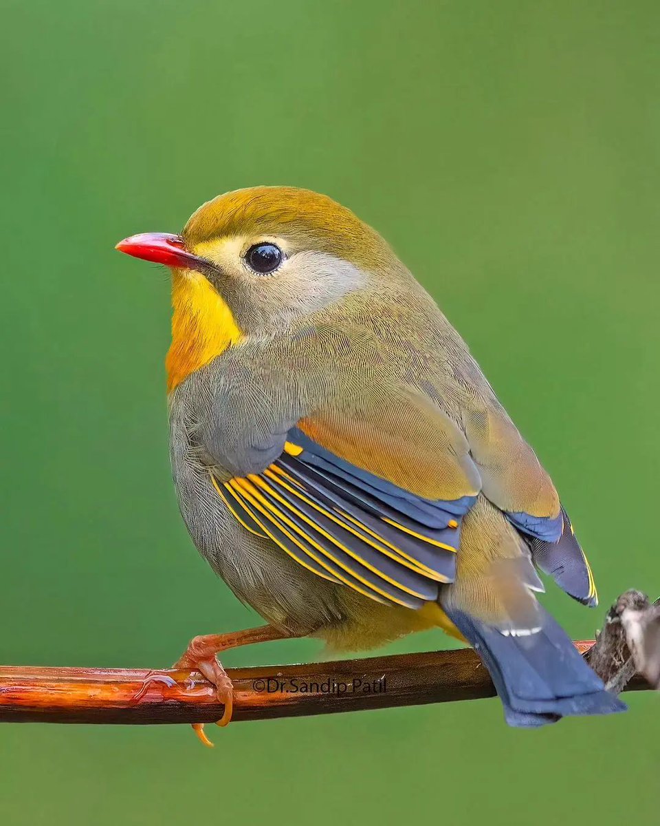 GOG_wdhXEAApyJP?format=jpg&name=medium