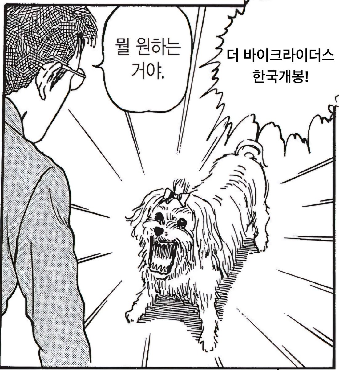 maaang_ga's tweet photo. 내가 바라는것 단 하나
더바라 한국개봉
@UniversalPicsKR https://t.co/TtBRny28ow