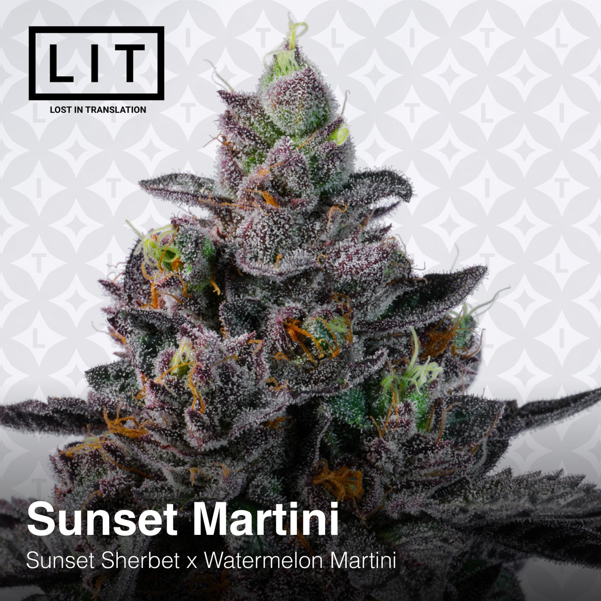 🌇SUNSET MARTINI🍸- now available!