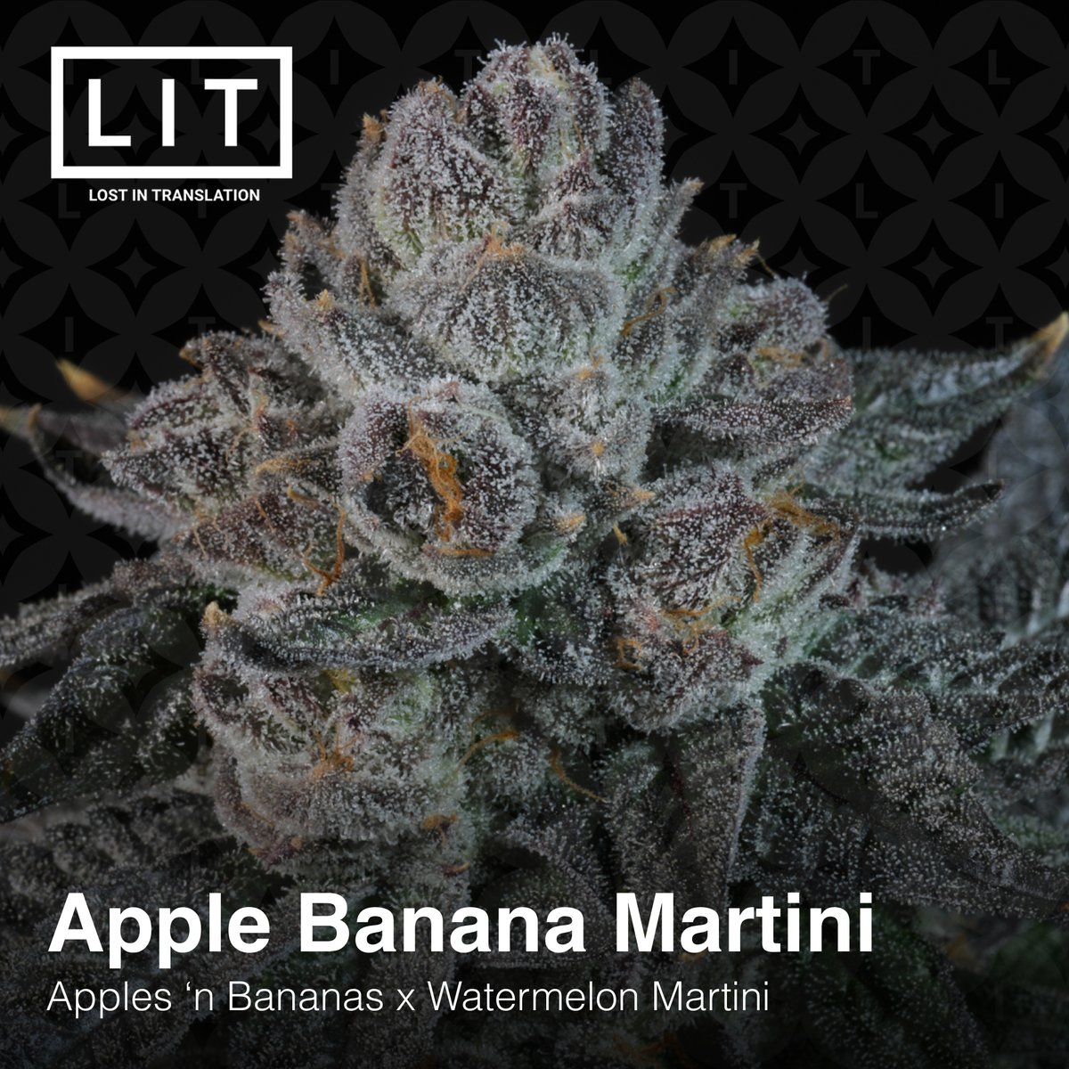 🍎APPLE 🍌BANANA 🍸MARTINI - now available!