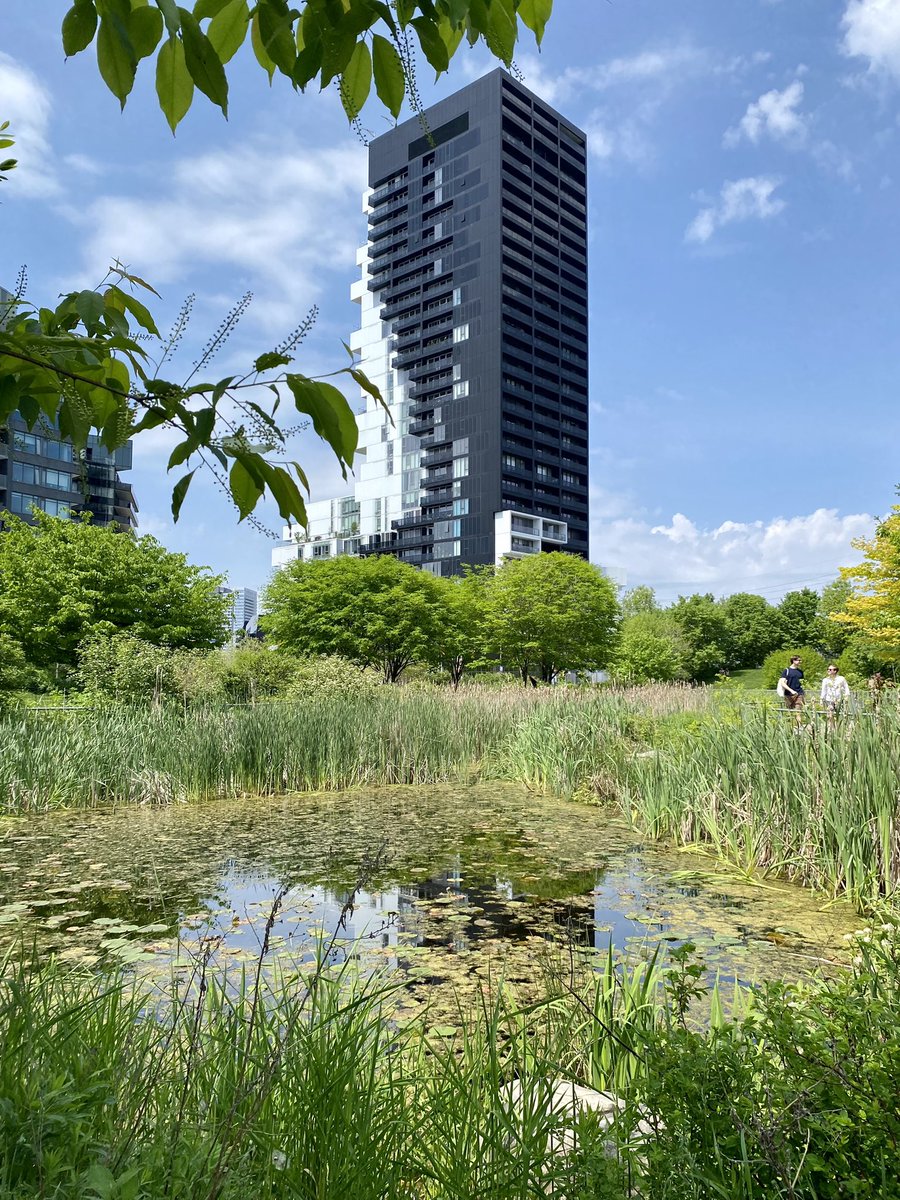 Park Circuit tweet media