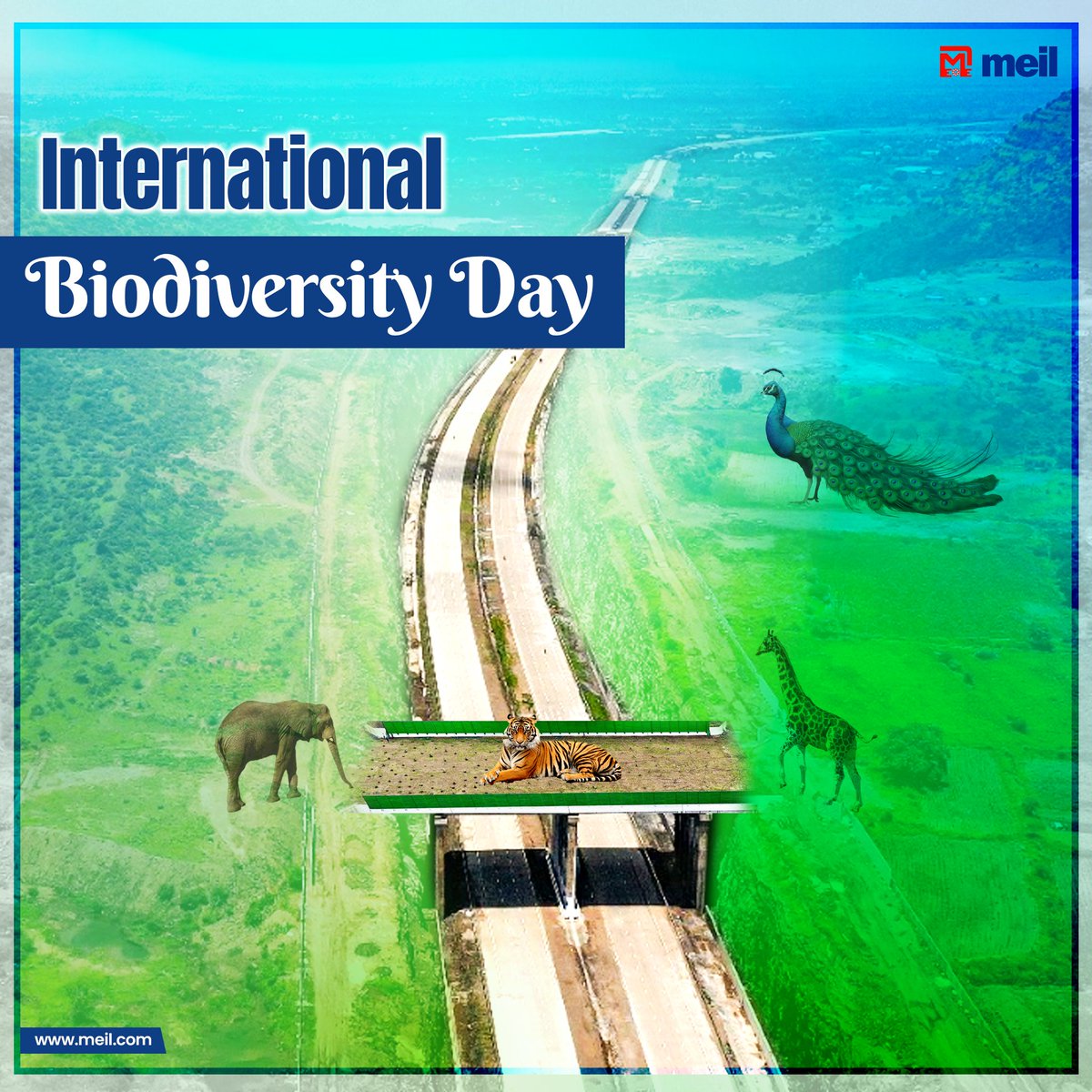 At #MEIL, we understand that #infrastructure development and environmental responsibility go hand in hand.  On this #InternationalDayforBiodiversity, we are committed to building a future that protects and preserves our planet's rich #biodiversity.
#MeghaEngineering