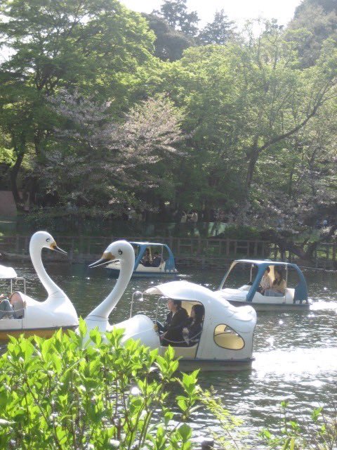 春の公園は素敵
