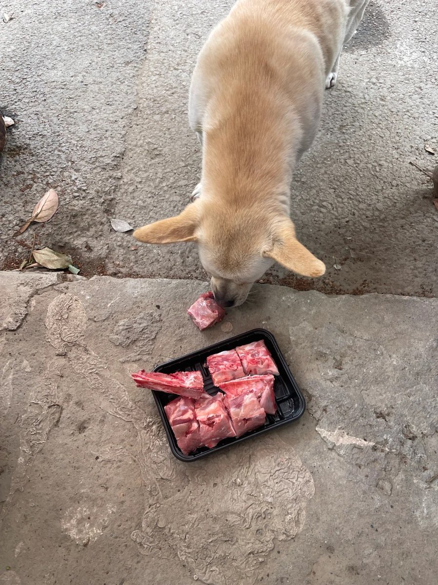 Gloria🦋 tweet media