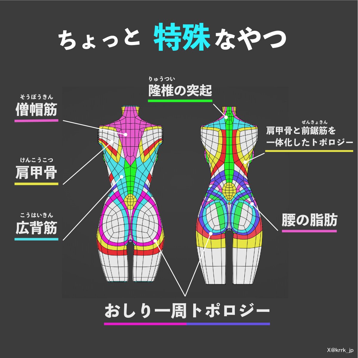 変なトポロジー

#Blender #美術解剖学