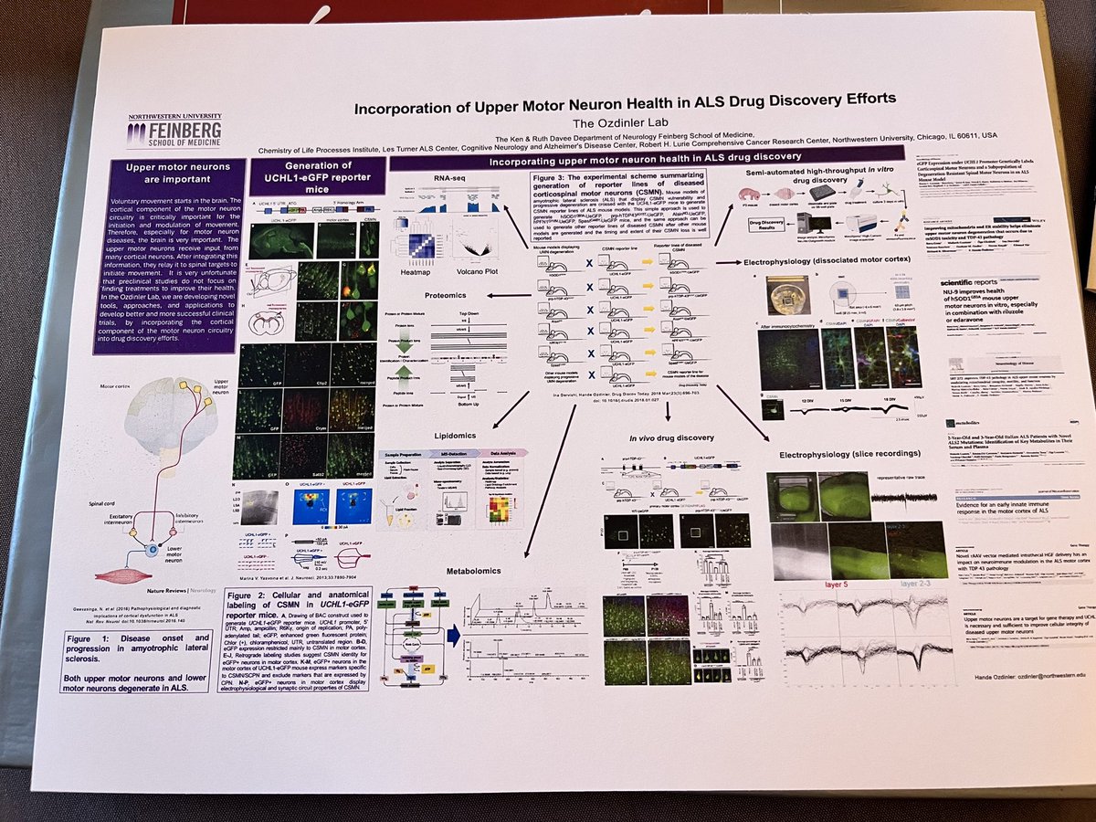 Let me give you a sneak preview of our presentation at the ALS Drug Discovery Summit. The Ozdinler Lab is committed to shed light onto the brain component of ALS If you want long-term solutions, let’s work together.