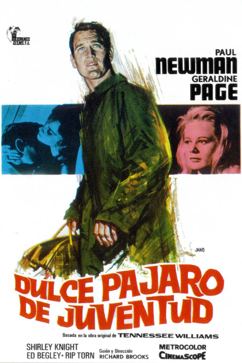 mancabrer's tweet photo. Arranco un pequeño ciclo de #pelispendientes de Tennessee Williams, empezando por 'Dulce pájaro de juventud' (1962). Una genialidad de historia, repleta de torcimientos emocionales y momentos de exacerbada virtud y decadencia. Puro #TennesseeWilliams, vaya. https://t.co/xXkqyzEoSy