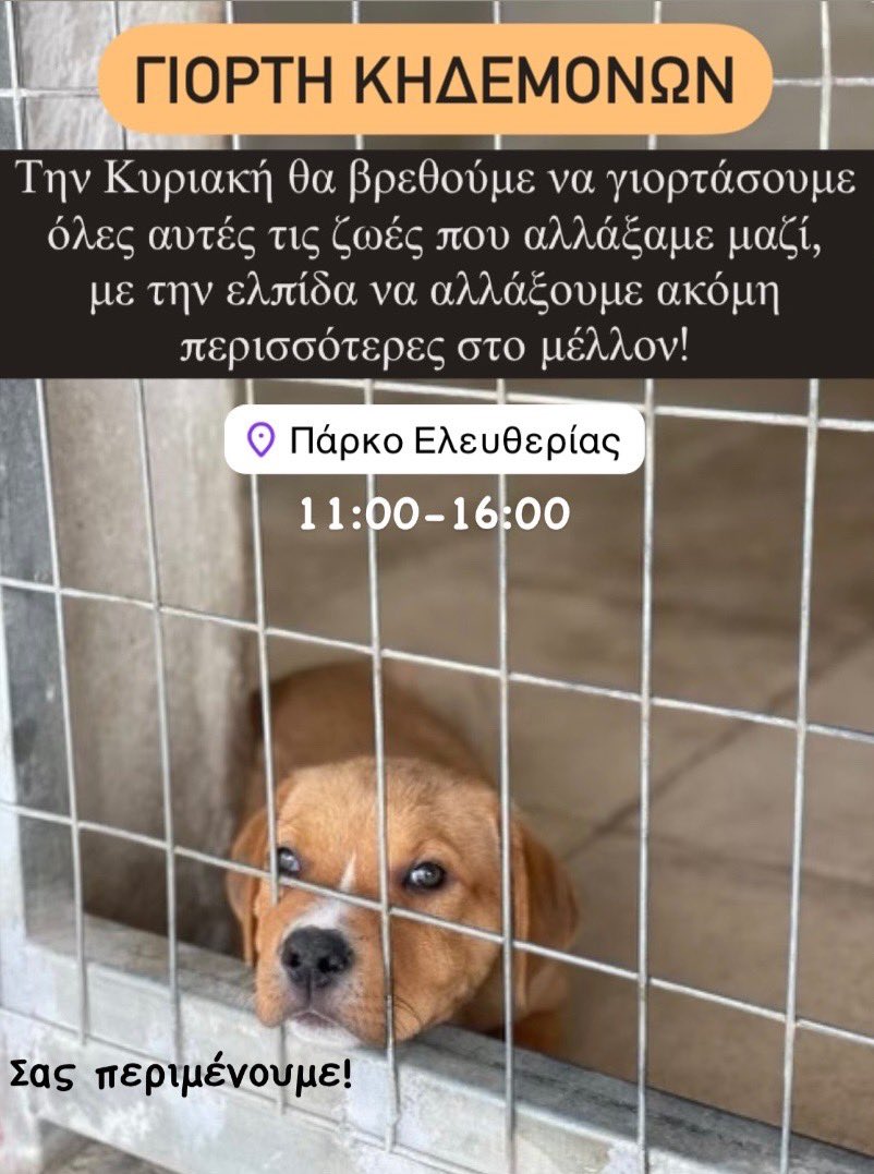 Το Τμημα της Αστικής Πανιδας κ εμείς σας καλουμε σε μια ημέρα γιορτής κ χαράς.❤️ Ήρθε η ώρα να ανταμώσουμε ξανά,με φίλους κ αγαπημένους! Με όλους εσάς που προσπαθήσατε κ κουραστήκατε για να αποδείξετε σε ένα κακοποιημένο ή εγκαταλελειμένο ζώο ότι θέλετε να το κάνετε μέλος της ⬇️