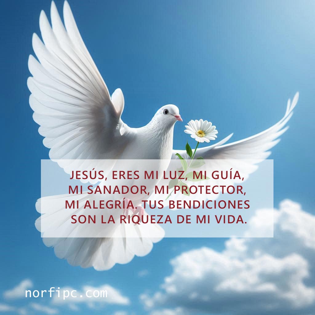 FrasesNorfiPC's tweet photo. Jesús, eres mi luz, mi guía, mi sanador, mi protector, mi alegría. Tus bendiciones son la riqueza de mi vida.
#oraciones
#oraciondelamañana
#oracionadios
#OracionesPoderosas https://t.co/AYQxzGaHhJ