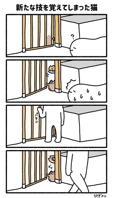 新たな技を覚えてしまった猫 
