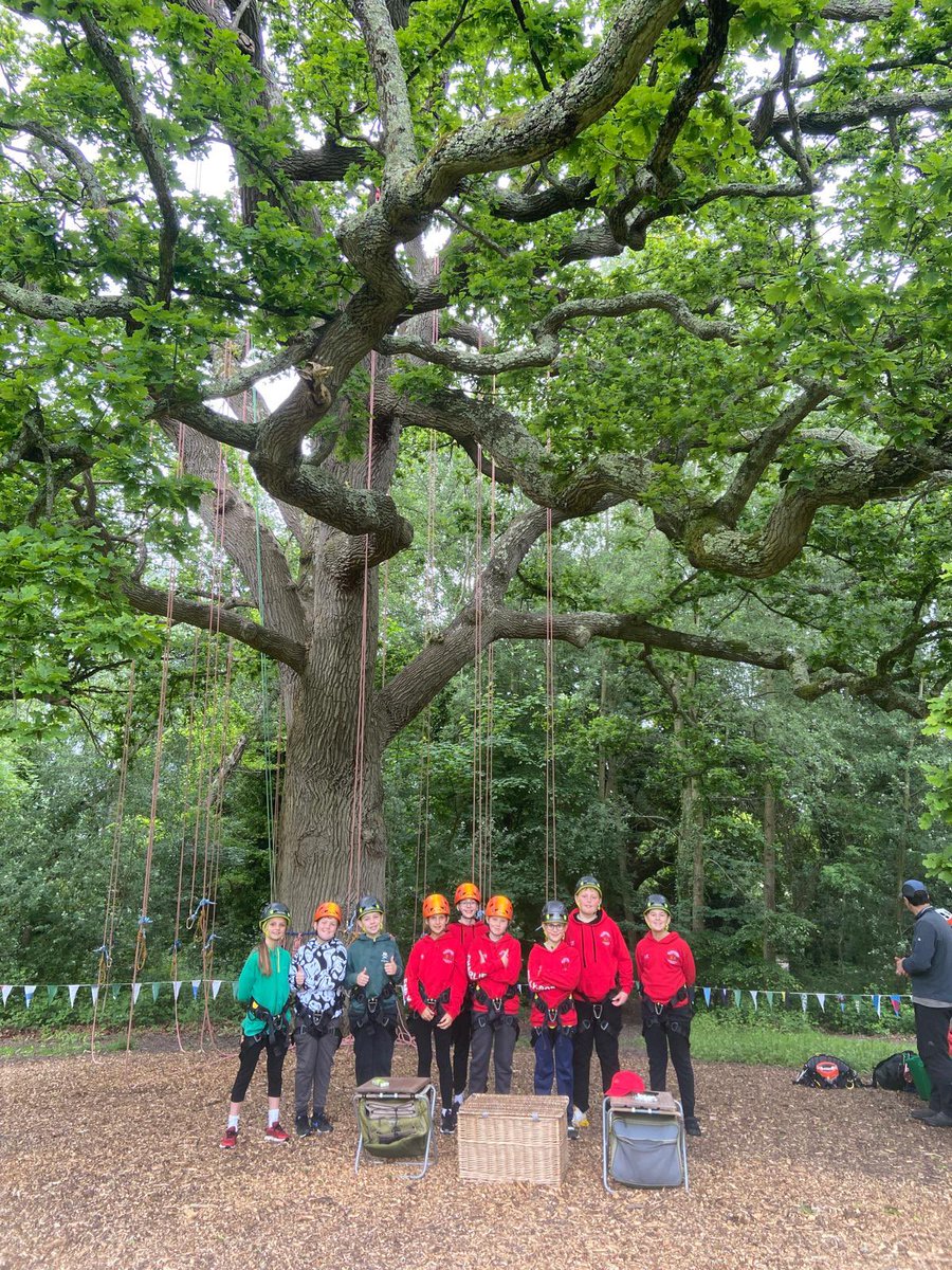 Everyone had fun tree climbing this morning🌳 #blackmoreresidential2024
