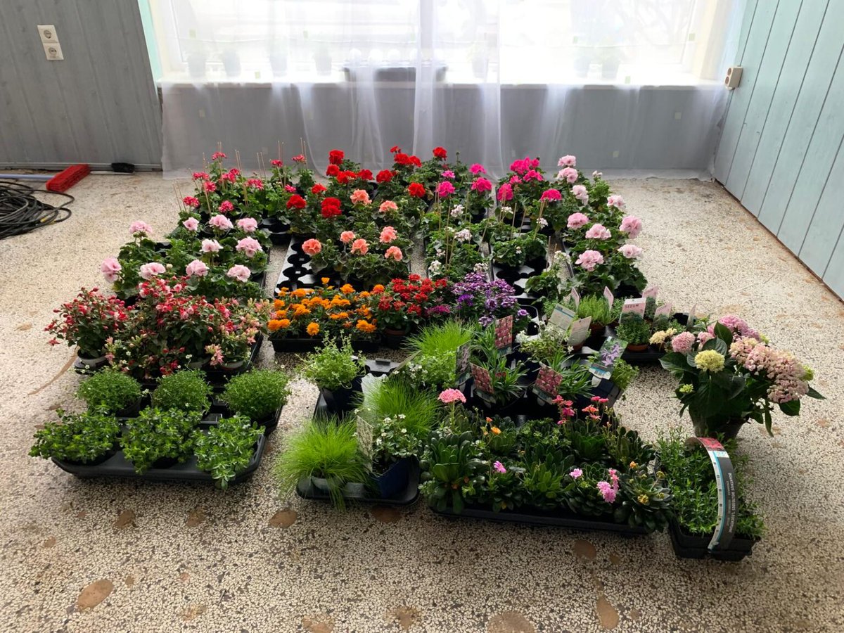 Trots op bewoners Blokweg, ga zo door! 🌺👩‍🌾

De bewoners van de Blokweg hebben op Hemelvaartsdag weer goed hun best gedaan in de straat en plantsoen en na afloop een welverdiend hapje en drankje...

Lees verder via  👉 shorturl.at/JXEpd

#TeamHillesluis