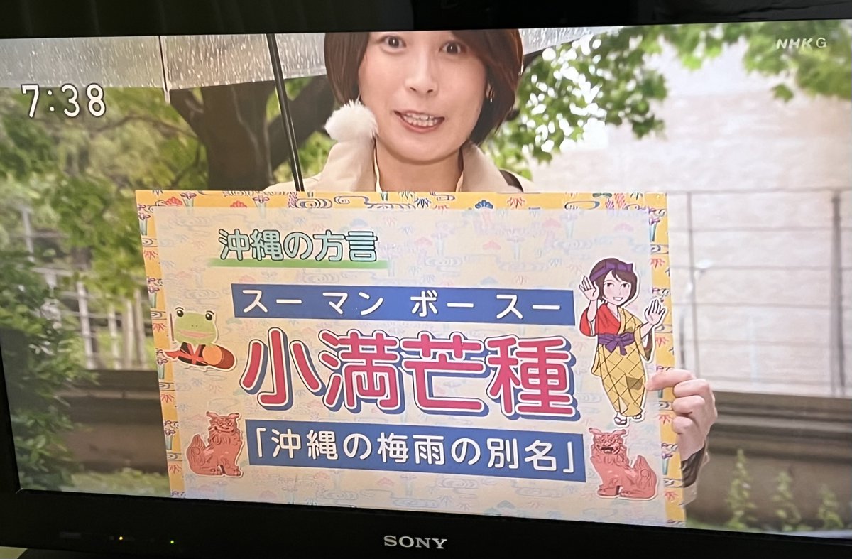 imissjamaica's tweet photo. RP 沖縄はお先に梅雨入り、もうめちゃくちゃ雨
NHKで梅雨を「小満芒種/スーマン ボースー」と呼ぶって言ってたけど、超沖縄の人と話す機会がないので、もし聞いたら報告します(いらない?😂)
#OKINAWASTYLE🌺 https://t.co/NG0lZCCxv1