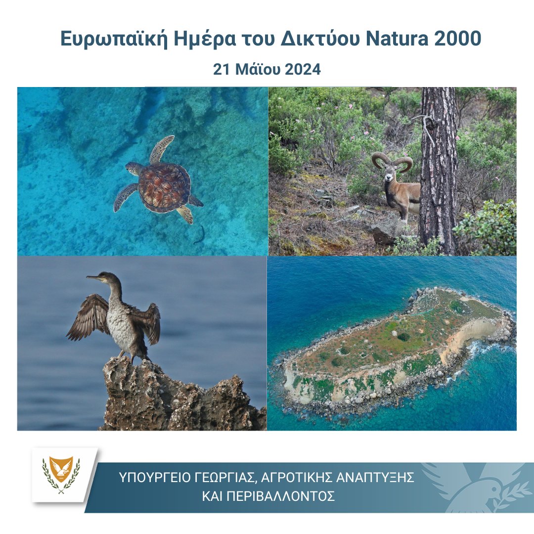 CyMOApress's tweet photo. 21 Μαΐου γιορτάζουμε την Ευρωπαϊκή Ημέρα του Δικτύου Natura 2000  

🌿Το Δίκτυο δημιουργήθηκε πριν από 32 χρόνια σαν σήμερα, με μια πρωτοποριακή νομοθετική κίνηση της ΕΕ, καθιστώντας το #Natura2000 μεγαλύτερο δίκτυο προστατευόμενων περιοχών στον κόσμο. 

🔗https://t.co/UpmcvEudZg https://t.co/lKXWYYJZLX